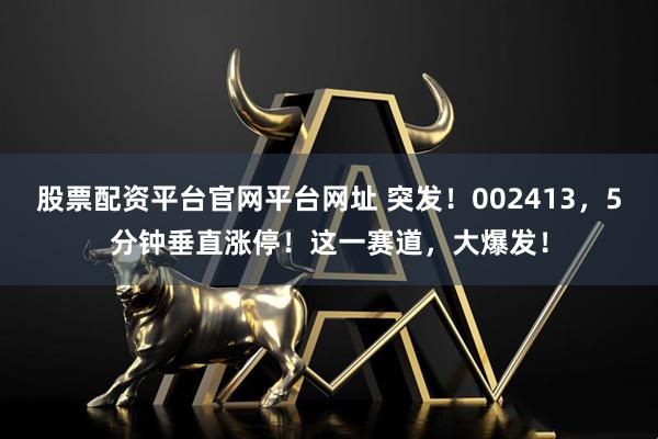 股票配资平台官网平台网址 突发！002413，5分钟垂直涨停！这一赛道，大爆发！